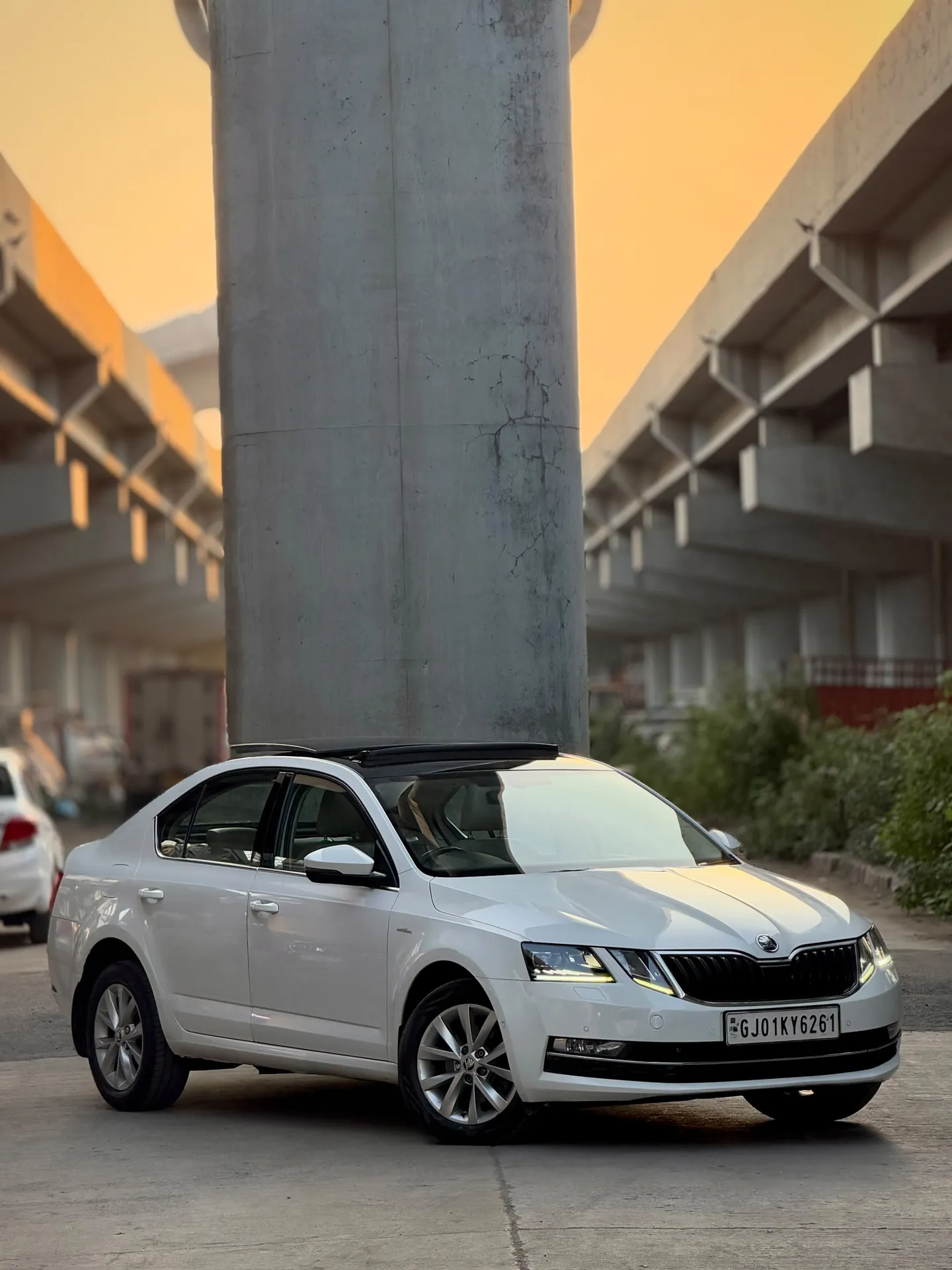 Skoda octavia (2020)