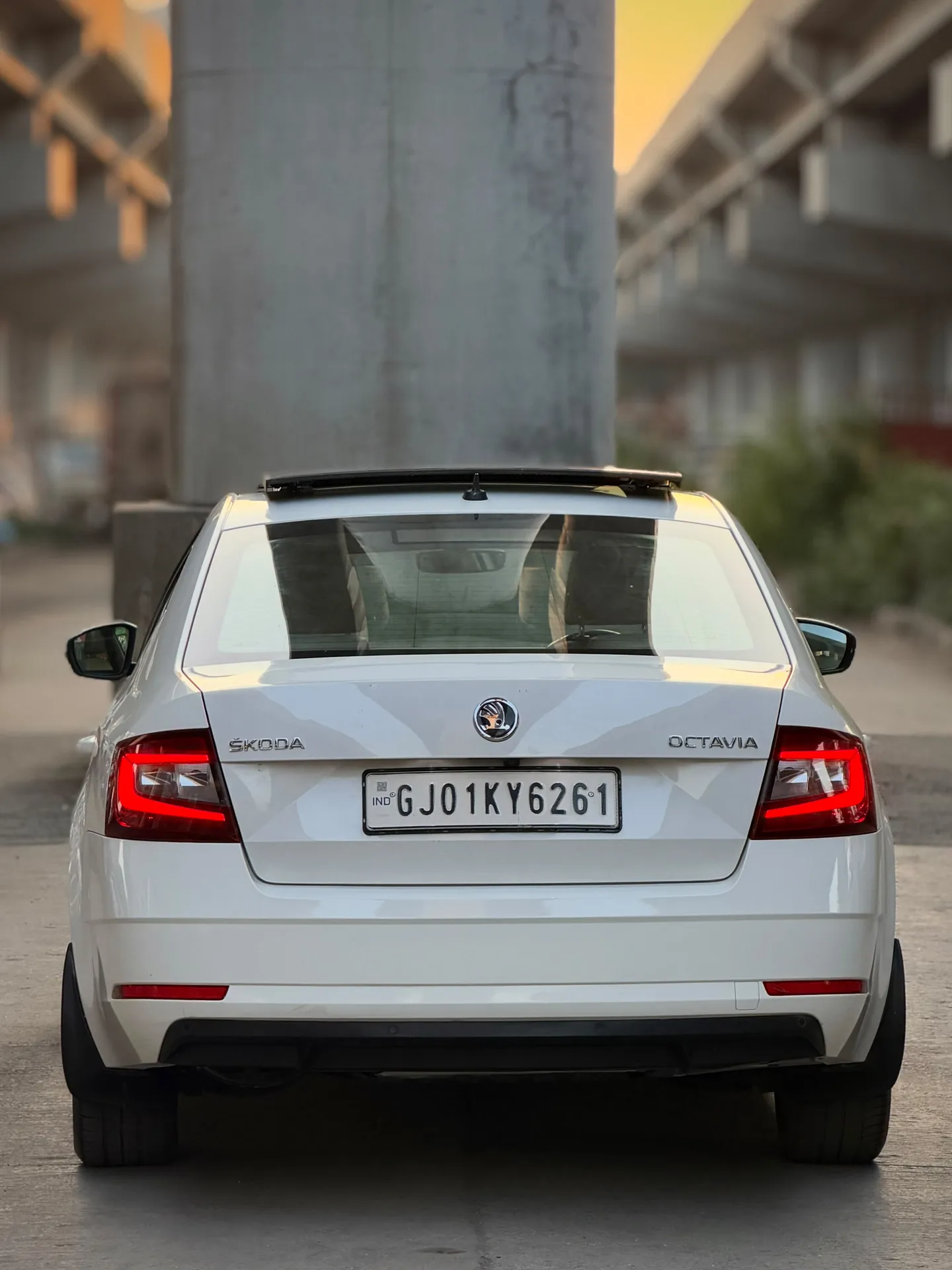 Skoda octavia (2020) 6